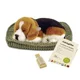 Jucarie interactiva Perfect Petzzz "Beagle"