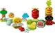 Set de constructie LEGO Duplo Prima mea gradina ecologica, 43 el.