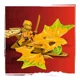 Set de constructie LEGO Ninjago Atacul dragonului zburator al lui Arin, 27 el. foto