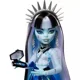 Игровой набор Monster High Frankie Stein и Секреты из шкафа foto