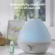 Umidificator de aer 3 in 1 Frida Baby Breathe