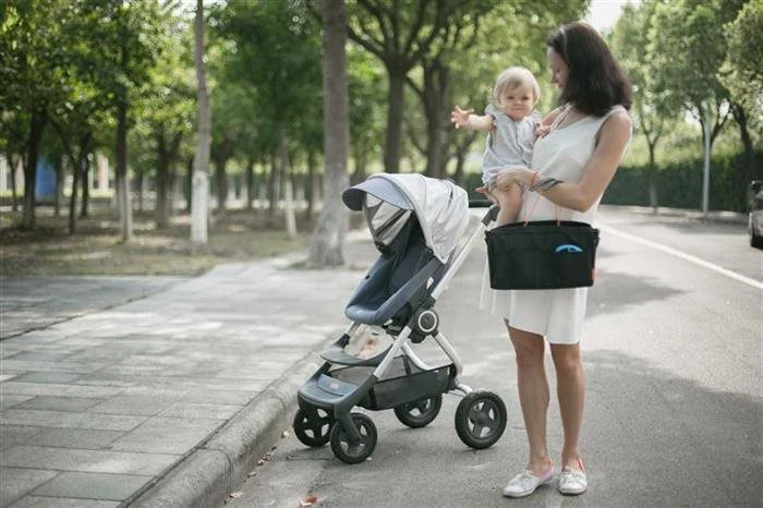 Organizator pentru caruciore Apramo Caddy foto