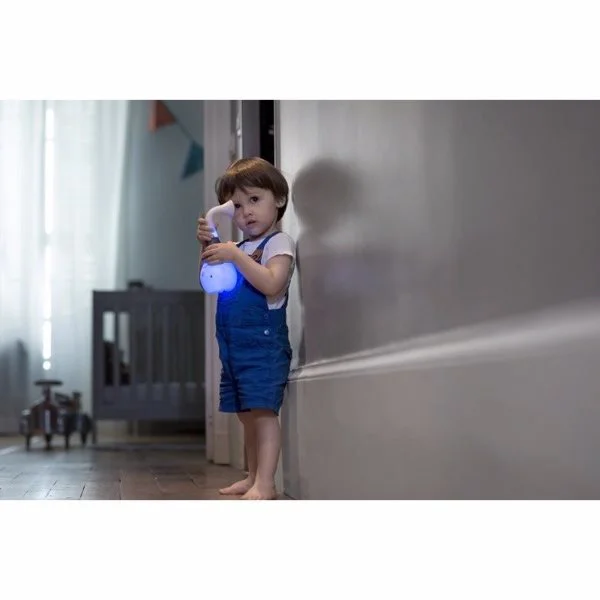 Lampa multifunctionala cu melodii Babymoov Tweetsy Light Boy