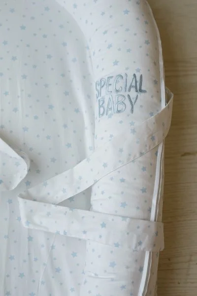 Babynest Specialbaby Albastru foto