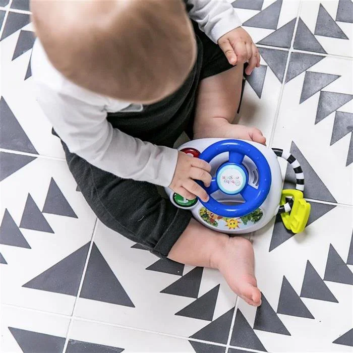 Музыкальная игрушка Baby Einstein Driving Tunes foto