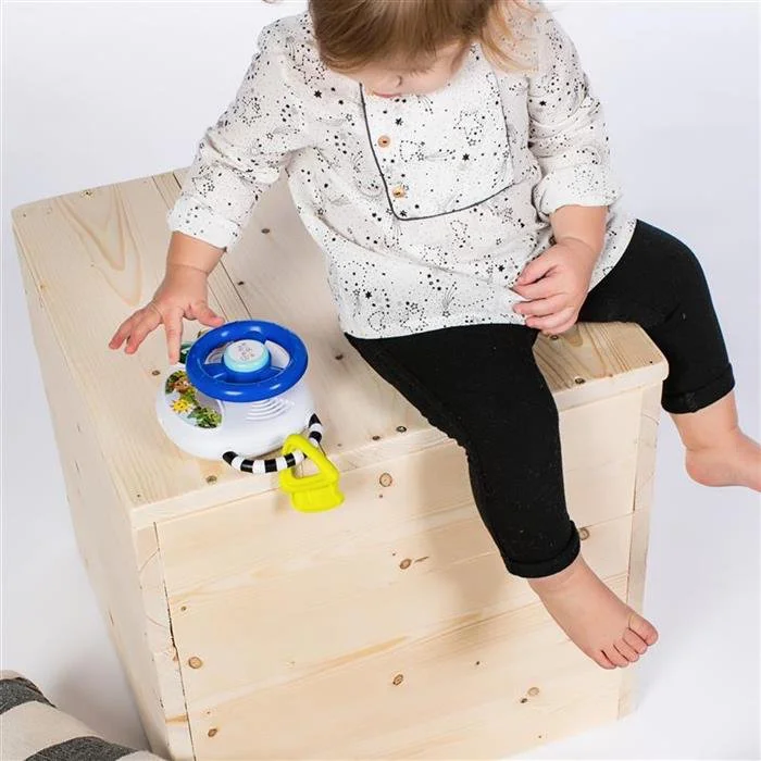 Музыкальная игрушка Baby Einstein Driving Tunes foto