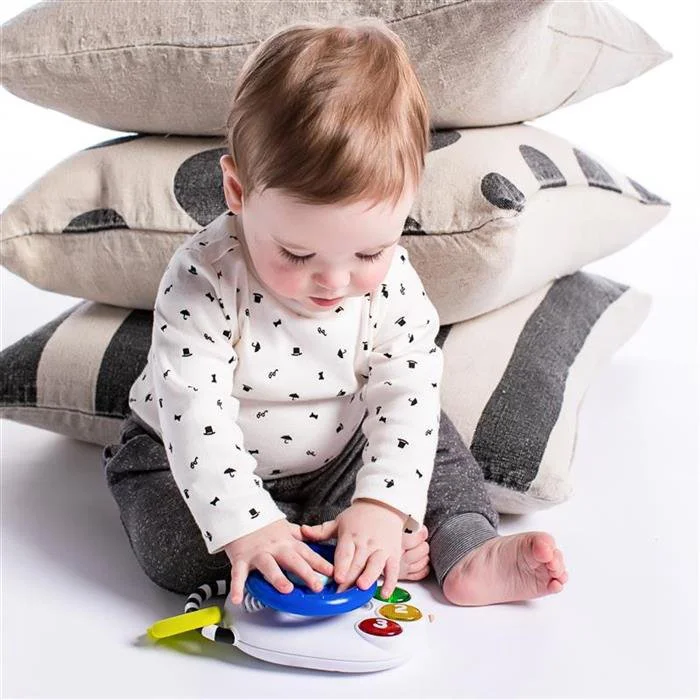 Музыкальная игрушка Baby Einstein Driving Tunes foto