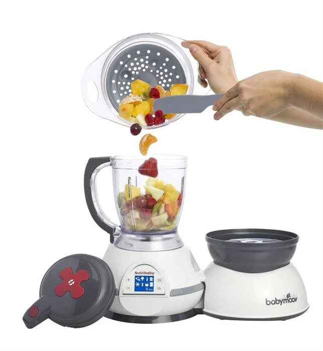 Многофункциональный кухонный комбайн 5 в 1 Babymoov Nutribaby Серый
