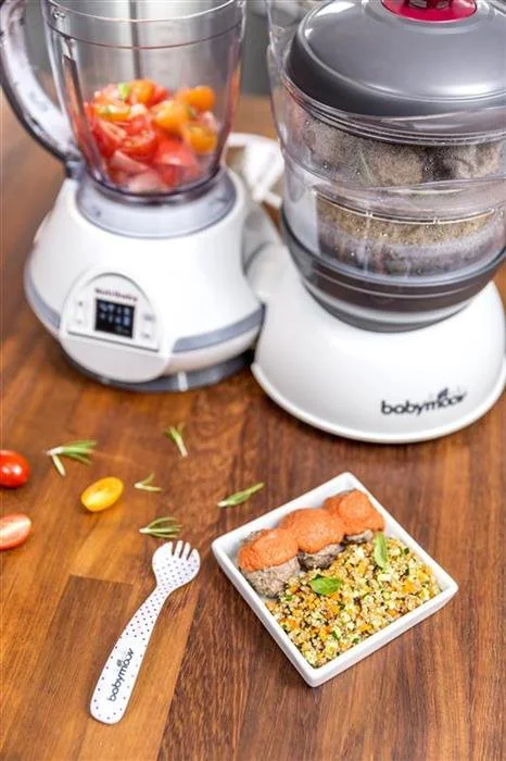 Многофункциональный кухонный комбайн 5 в 1 Babymoov Nutribaby Серый