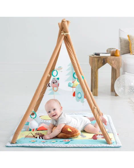 Развивающий коврик Skip Hop Camping Cub foto