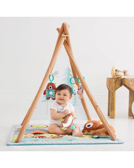 Развивающий коврик Skip Hop Camping Cub foto
