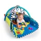 Развивающий коврик 5 в 1 Baby Einstein World of Discovery