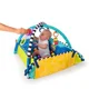 Развивающий коврик 5 в 1 Baby Einstein World of Discovery