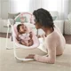 Музыкально-электронные качели Bright Starts Ingenuity Comfort 2 Go Audrey
