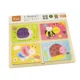 Puzzle din lemn 4 in 1 Viga Toys Insects, 16 piese foto