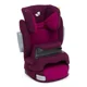 Scaun auto cu conexiune IsoSafe Joie Trillo Shield 9-36 kg Hibiscus foto