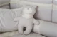 Комплект детского белья Specialbaby Anie Серый, 6 эл.