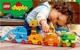 LEGO Duplo - My First Animal Brick Box foto