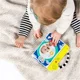 Книжка Baby Einstein Say&amp;Play Photobook