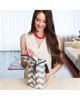 Термо-сумка для бутылочек Skip Hop Grab&Go Chevron
