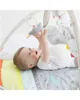 Развивающий игровой коврик Skip Hop Silver Lining Cloud foto
