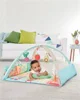 Развивающий игровой коврик Skip Hop Farmstand Grow & Play foto