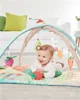 Развивающий игровой коврик Skip Hop Farmstand Grow & Play foto