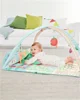 Развивающий игровой коврик Skip Hop Farmstand Grow & Play foto