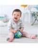 Jucarie zornaitoare Skip Hop Explore & More Arici