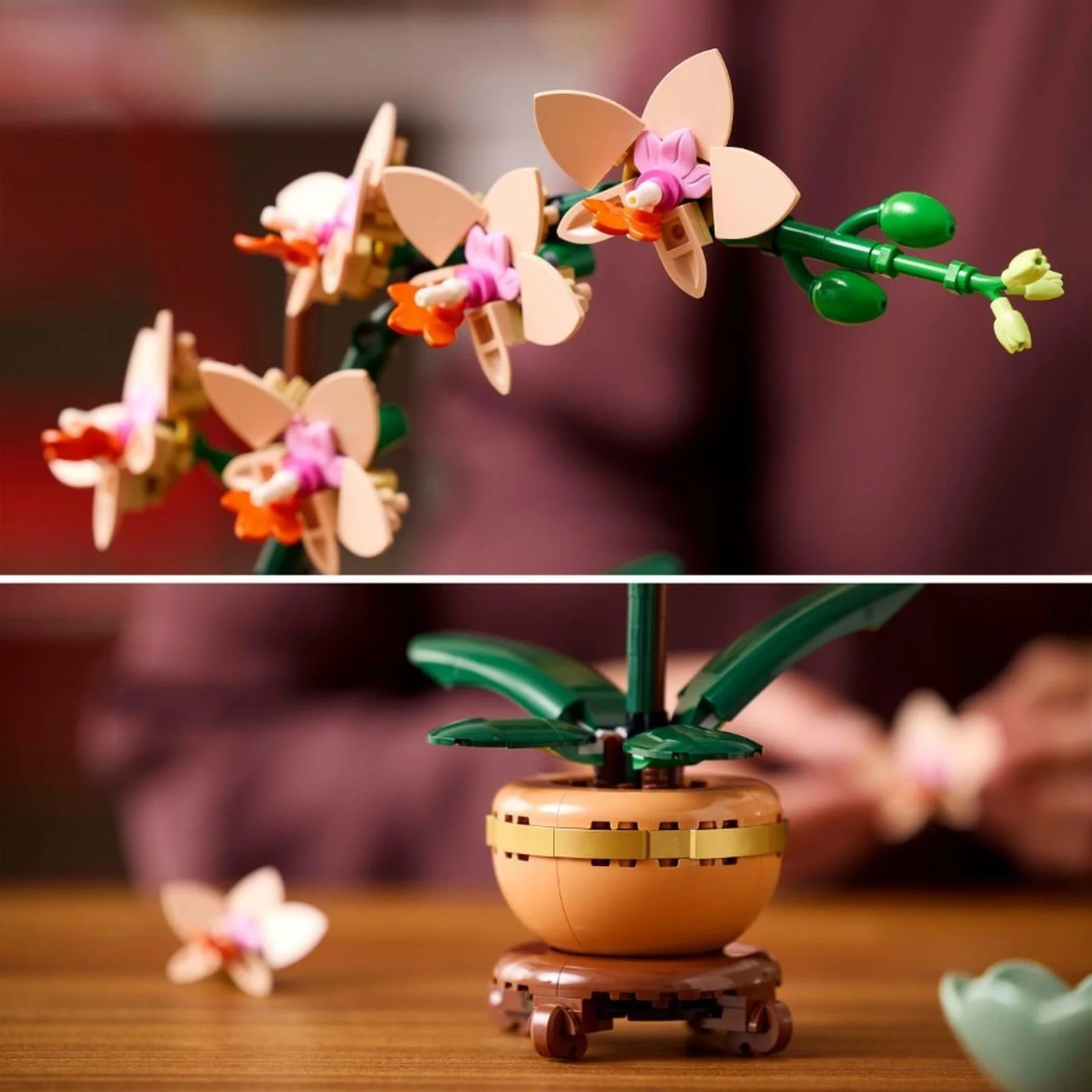 Конструктор LEGO Botanicals Мини-орхидея, 274 эл.