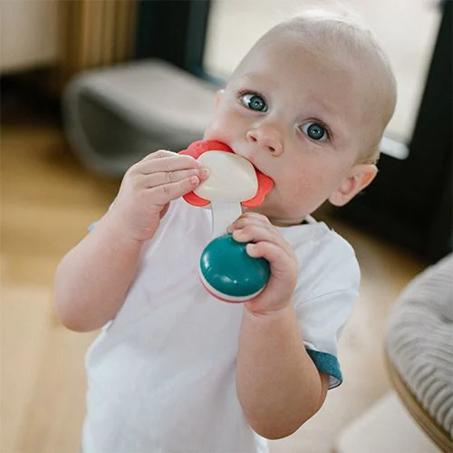 Погремушка с прорезывателем BabyOno Красный Цветок foto