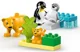 LEGO Duplo - Семьи диких животных: Пингвины и львы
