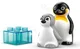 LEGO Duplo - Семьи диких животных: Пингвины и львы