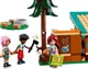 LEGO Friends - Cabane confortabile la campingul de aventura foto