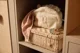 Муслиновая пеленка Jollein Miffy Silhouettes Wild Rose, 115x115 см, 2 шт.