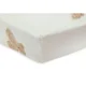 Cearsaf cu elastic Jollein Jersey Teddy Bear, 120x60 cm foto