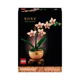 Конструктор LEGO Botanicals Мини-орхидея, 274 эл.