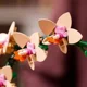 Конструктор LEGO Botanicals Мини-орхидея, 274 эл.