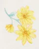 Carter's Комплект бодиков Graphic Floral Lemon