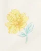 Carter's Комплект 3 в 1 Yellow Floral - кардиган, боди и штаны