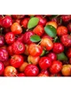 Masca faciala din tesatura Lululun Okinawa Acerola, 7 buc. foto