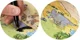 Set de stickere transferabile Scribble Down cu aplicatie online - Dinozauri