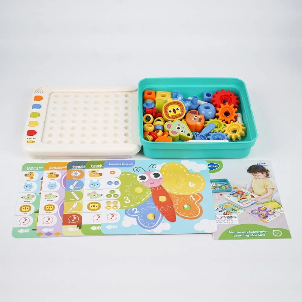 Set educational Hola Toys Montessori