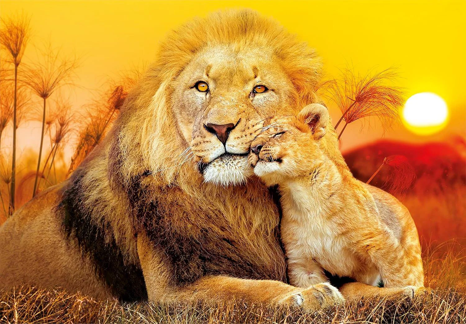 Puzzle Clementoni Leul si puiul sau, 180 el.
