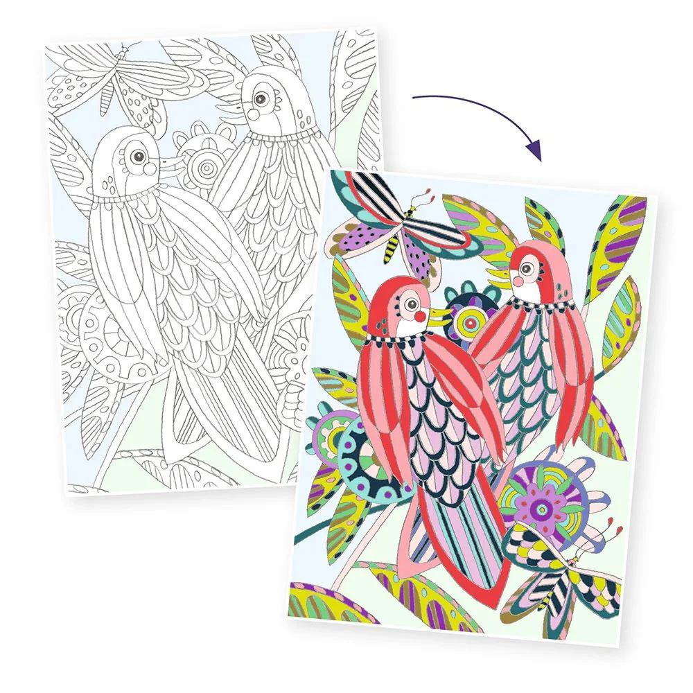 Портфолио с 3 постерами для раскрашивания Djeco Birds