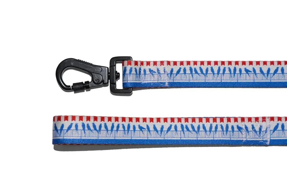 Lesa pentru caini Explorer Dog Birds, marimea L, 170 cm foto