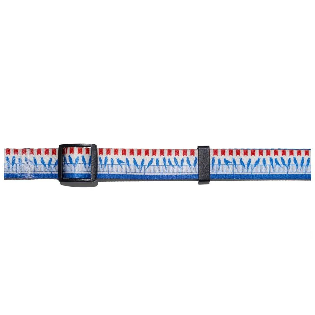 Zgarda pentru caini Explorer Dog Birds, marimea L, 41-66 cm foto