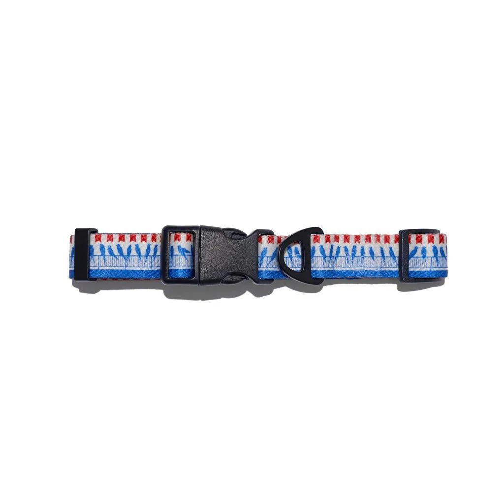 Zgarda pentru caini Explorer Dog Birds, marimea L, 41-66 cm foto