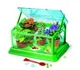 Обучающая игра AS KIDS Наука и Игра: Моя первая био-теплица