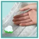 Scutece Pampers Active Baby 3 Midi XXL Box (6-10 kg), 208 buc.